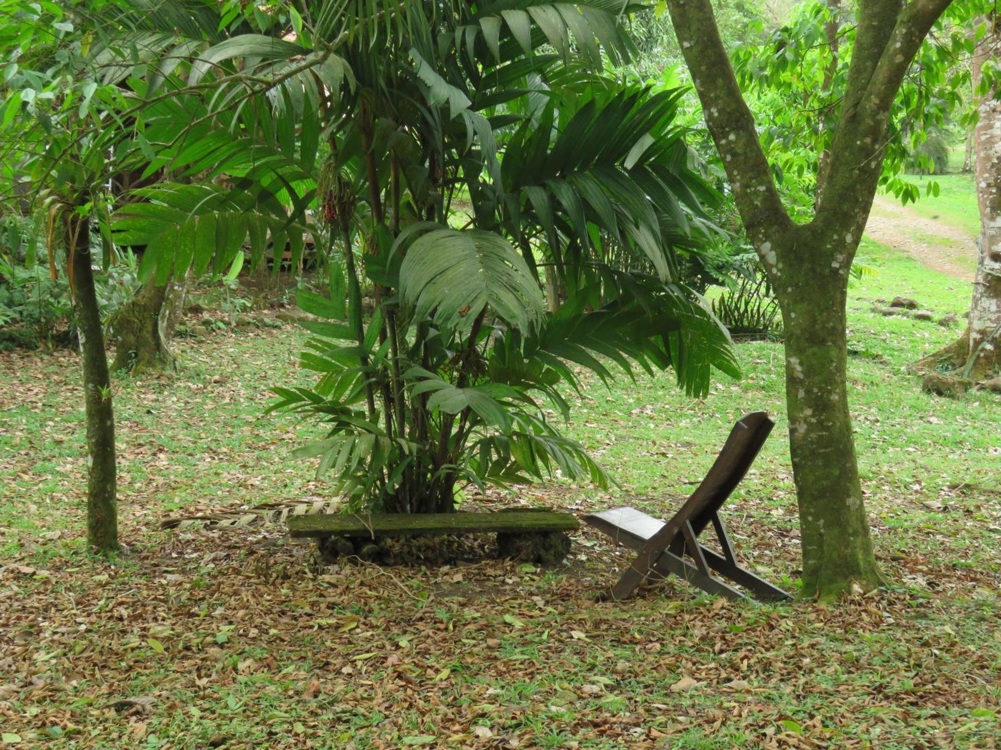 Vocare Finca Agroecologica Upala Exterior foto
